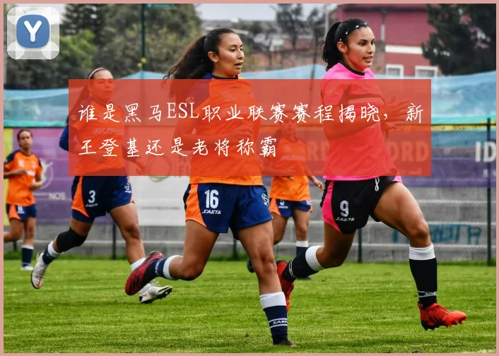 谁是黑马ESL职业联赛赛程揭晓，新王登基还是老将称霸